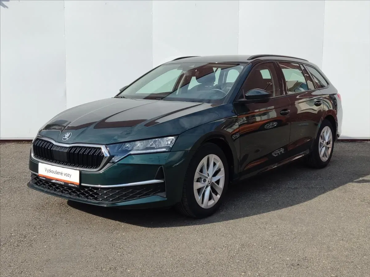 Škoda Octavia - Obrázek 1