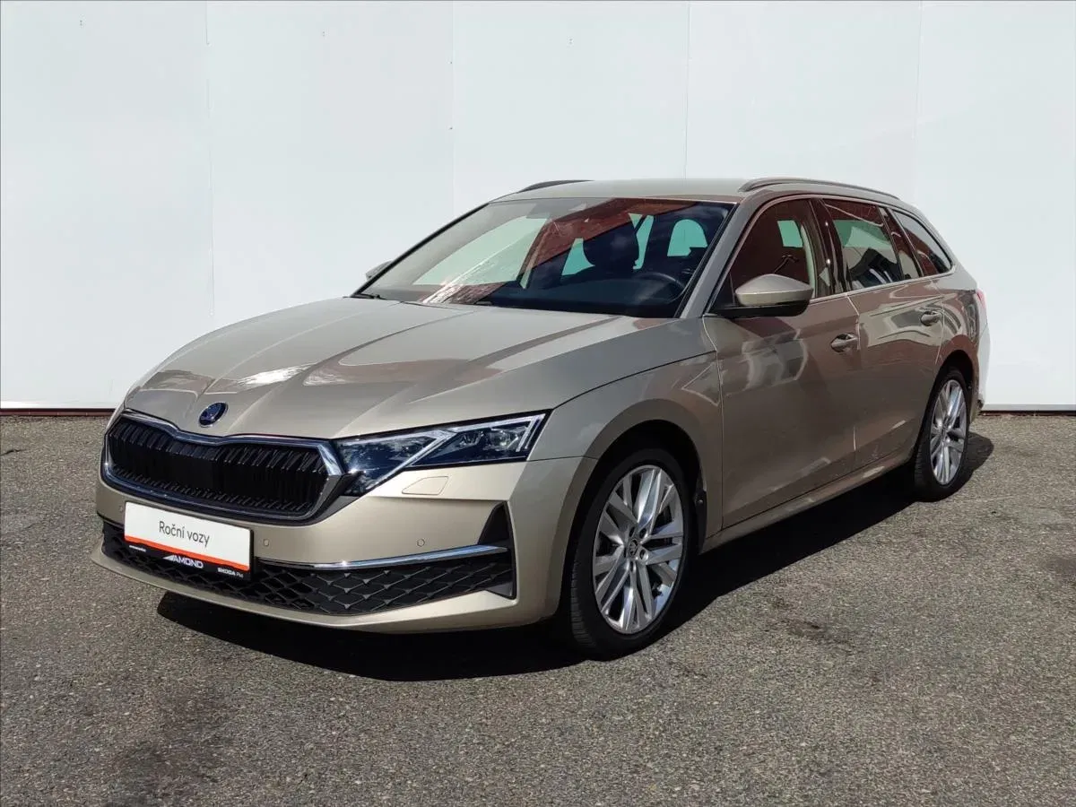 Škoda Octavia - Obrázek 1
