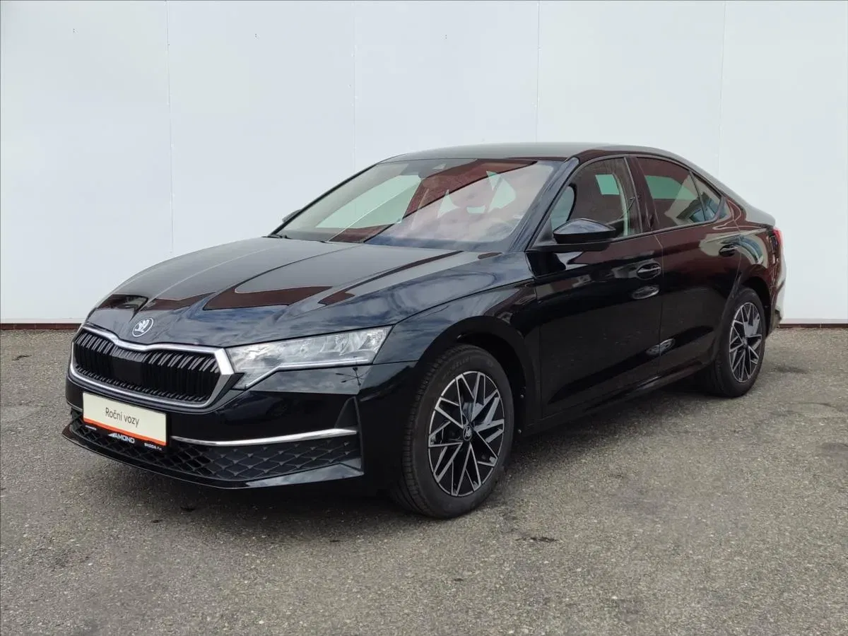 Škoda Octavia - Obrázek 1