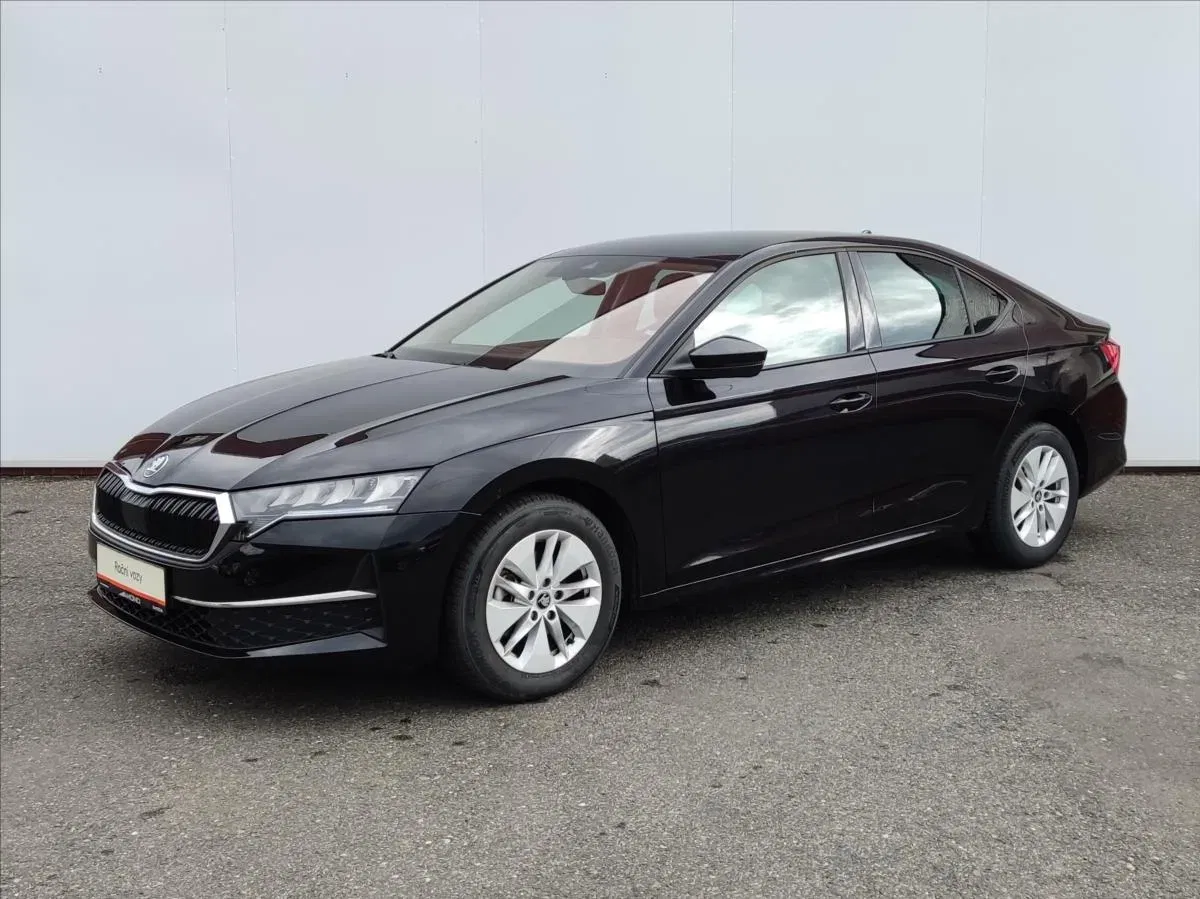 Škoda Octavia - Obrázek 1