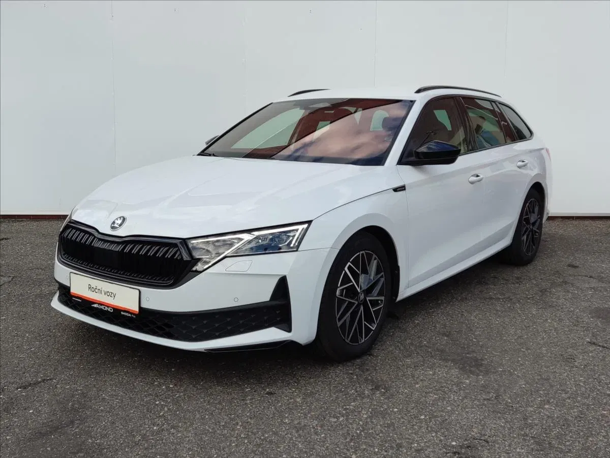 Škoda Octavia - Obrázek 1