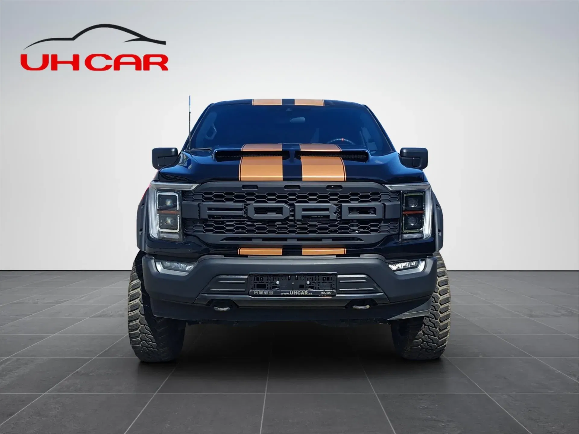Ford F-150 - Náhled 2