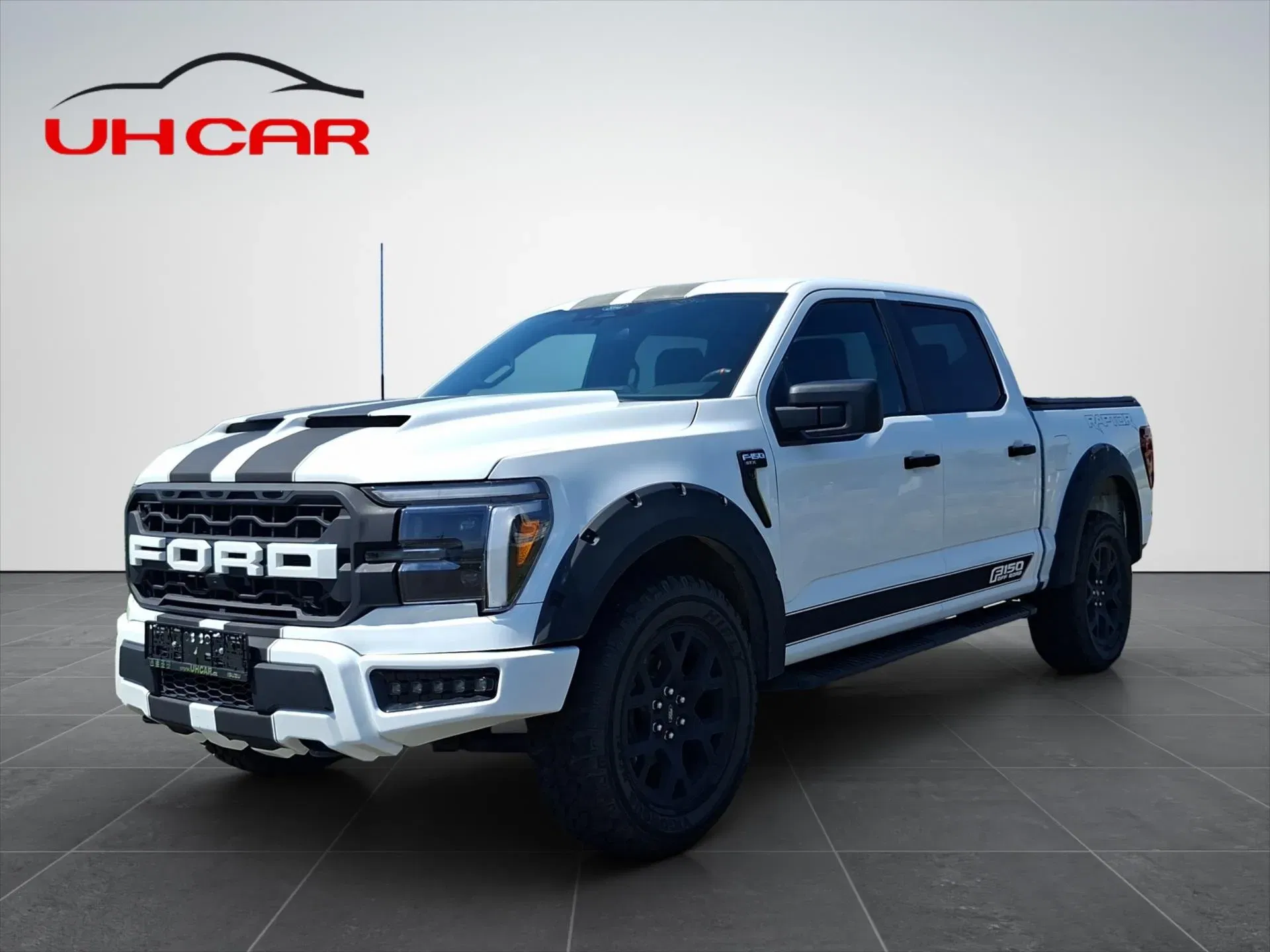 Ford F-150 – fotografie 1
