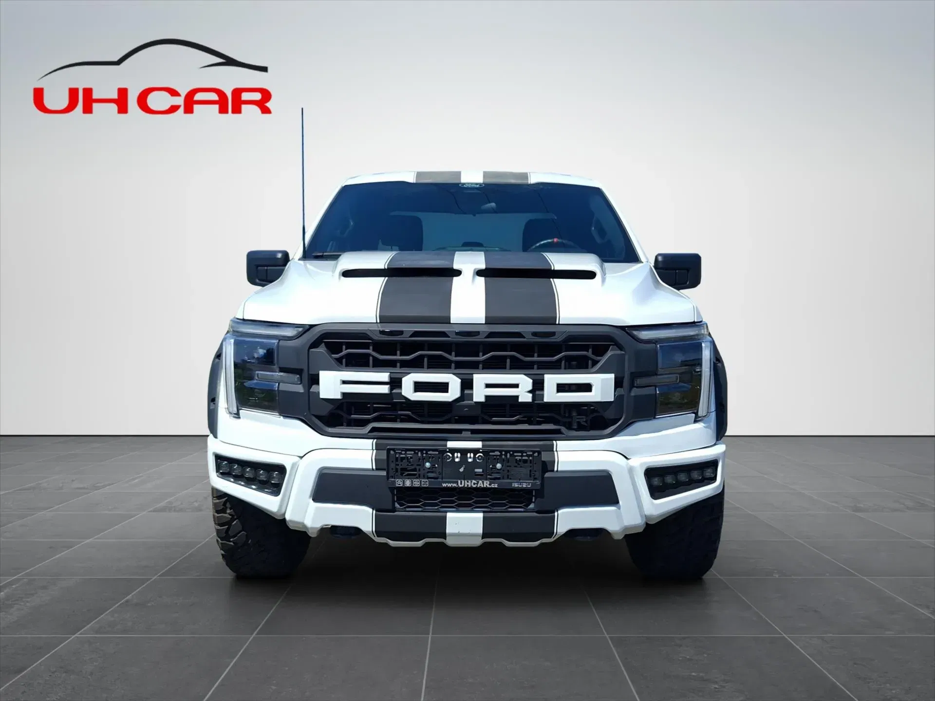 Ford F-150 - Náhled 2