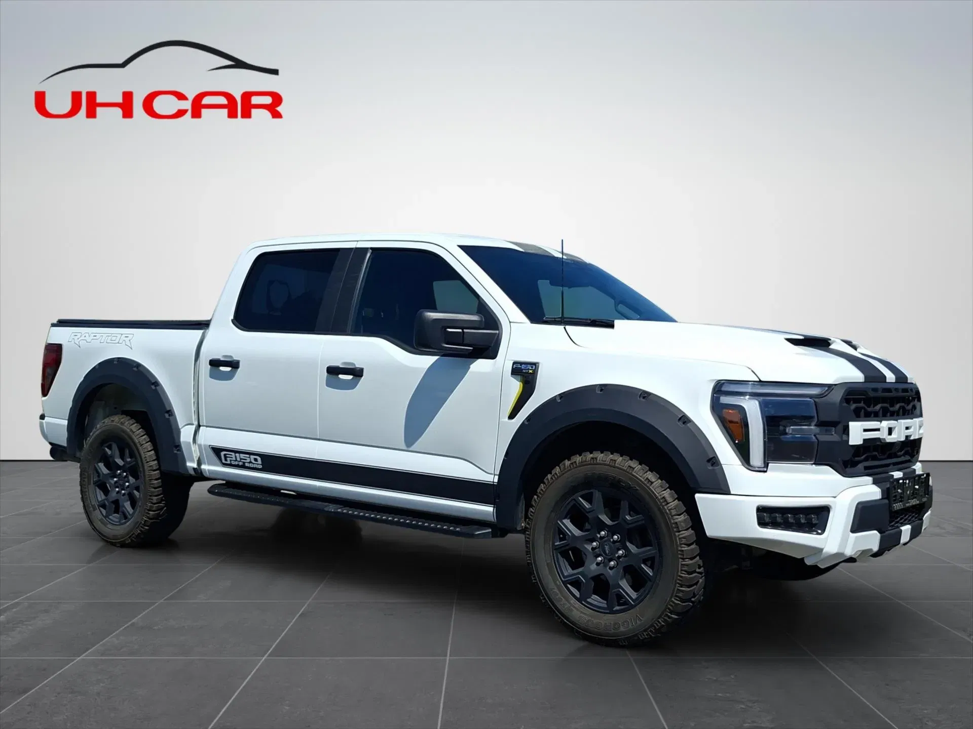 Ford F-150 - Náhled 3