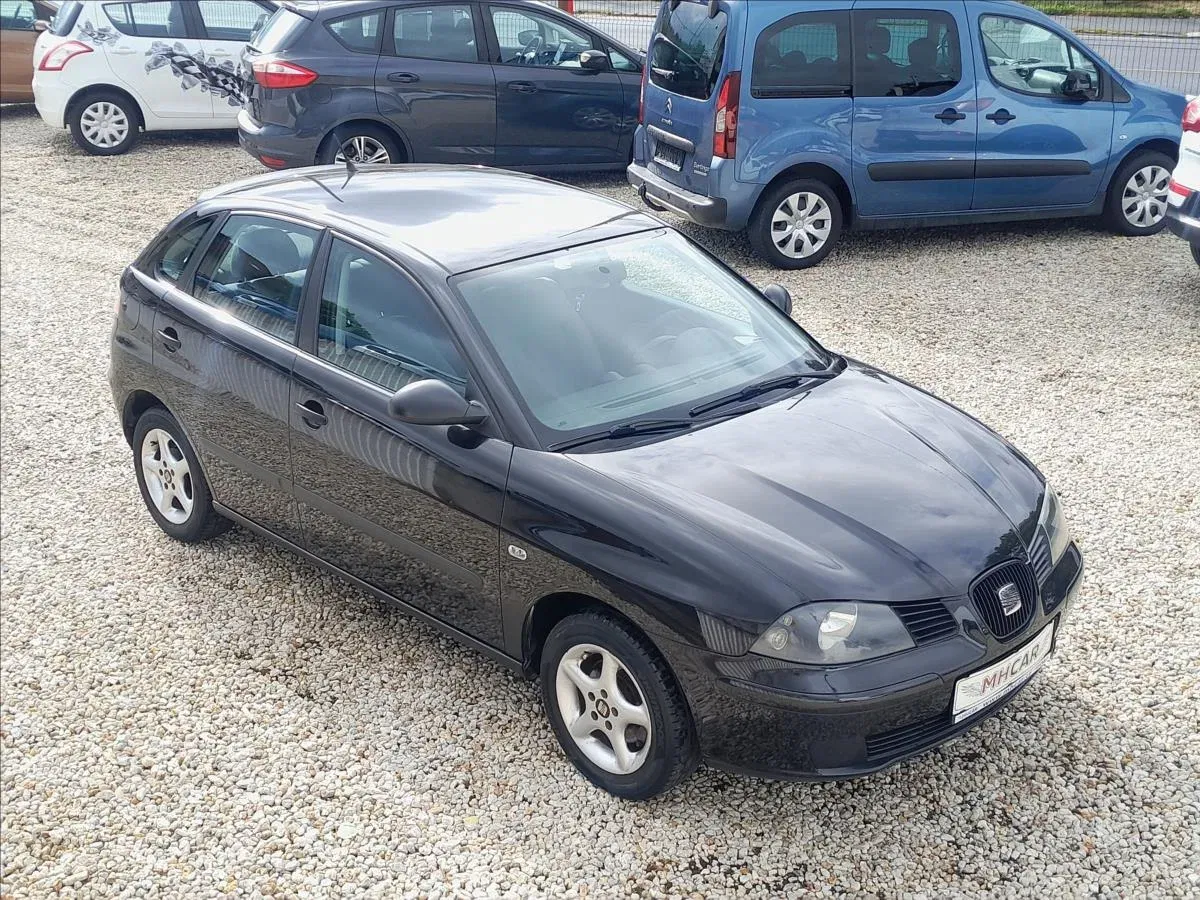 Seat Ibiza - Obrázek 1