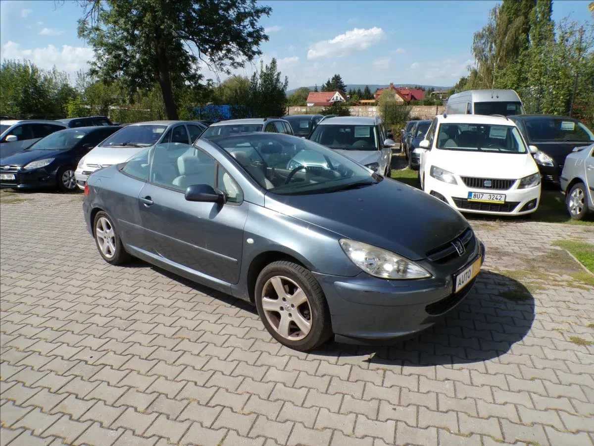Peugeot 307 - Obrázek 1