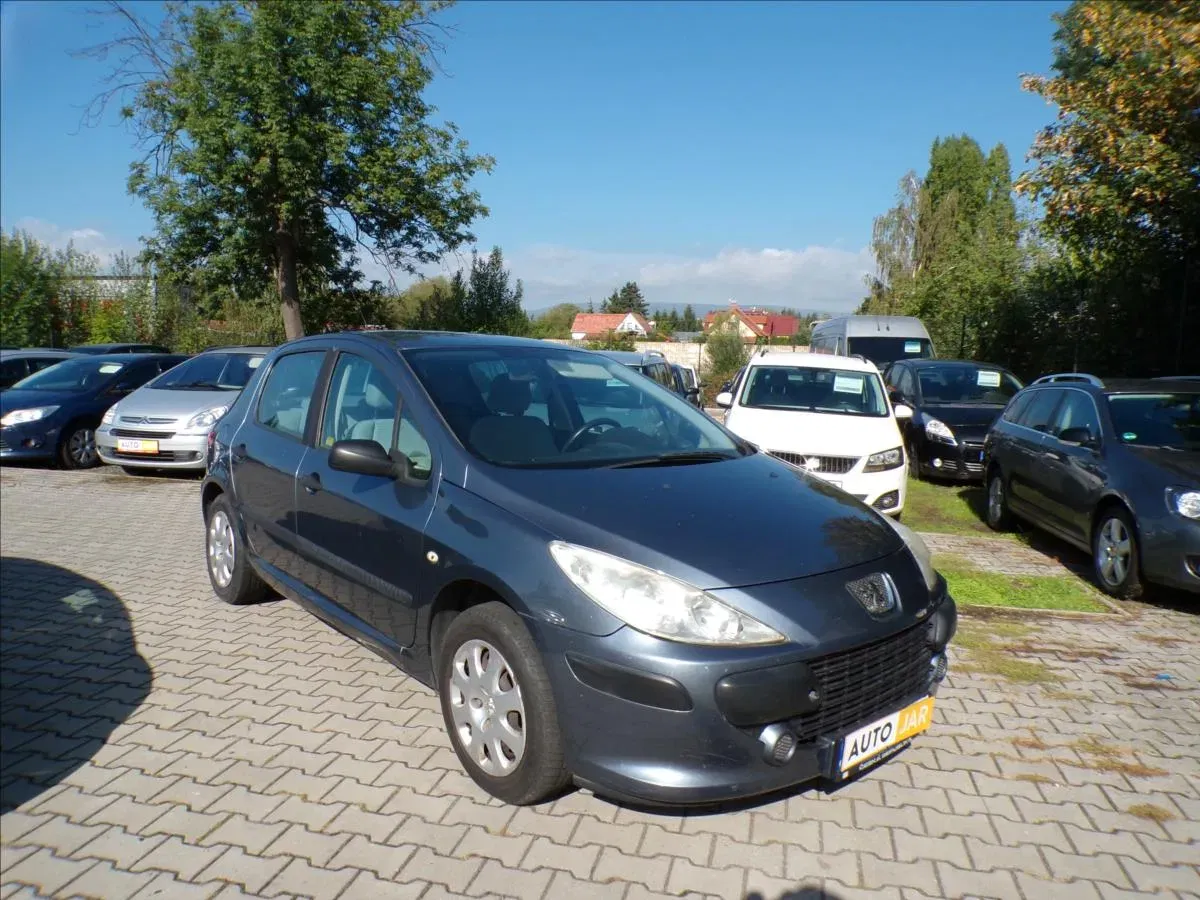 Peugeot 307 - Obrázek 1