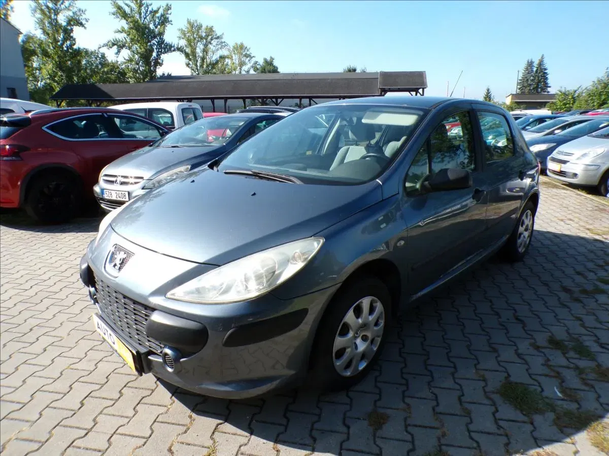 Peugeot 307 - Náhled 2