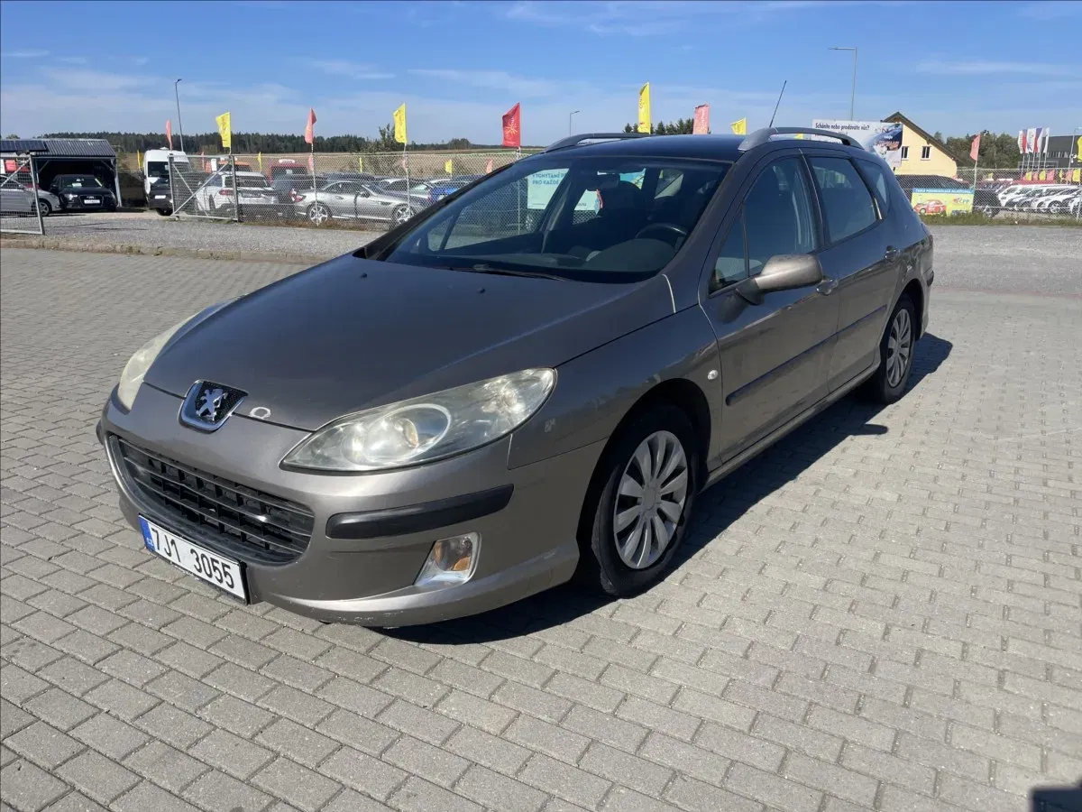 Peugeot 407 - Obrázek 1