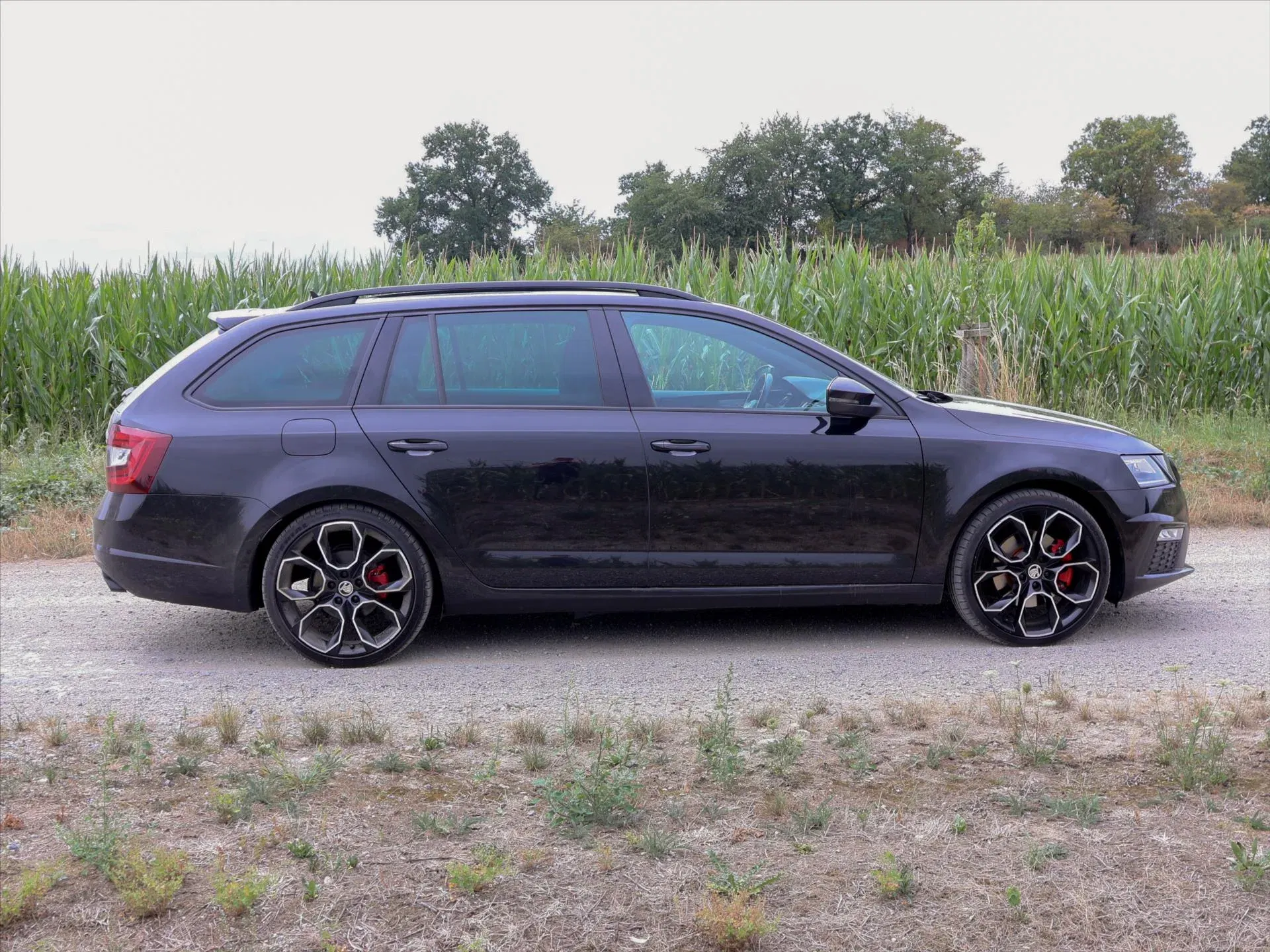 Škoda Octavia - Náhled 6