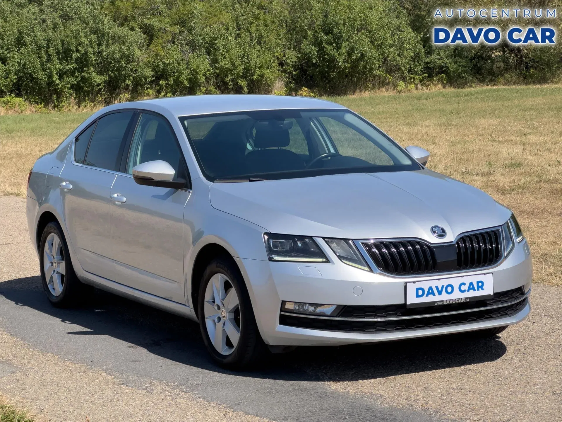 Škoda Octavia - Obrázek 1