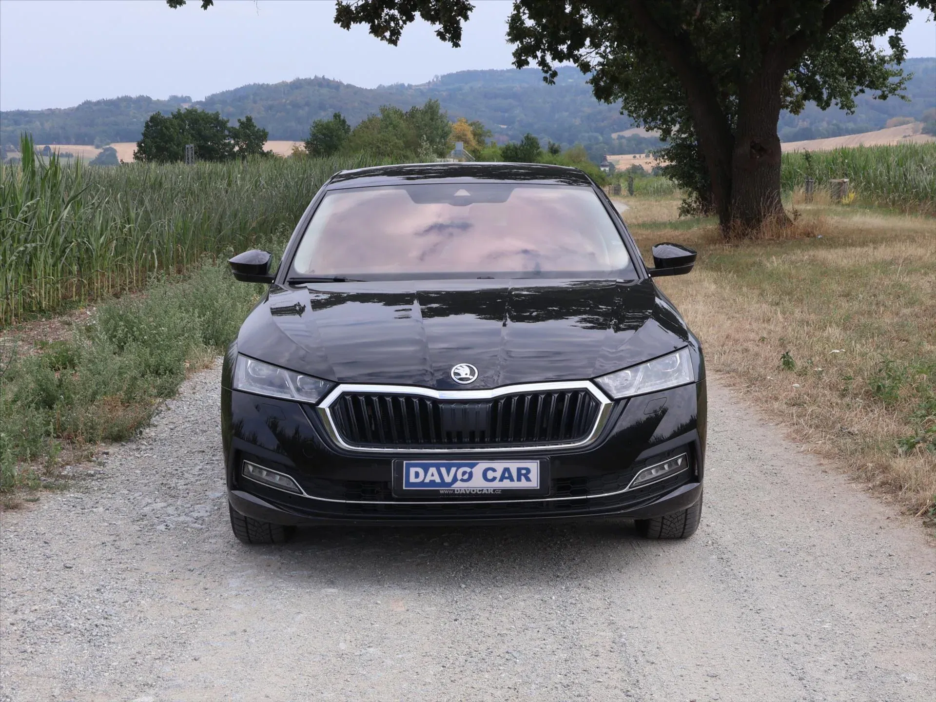 Škoda Octavia - Náhled 2