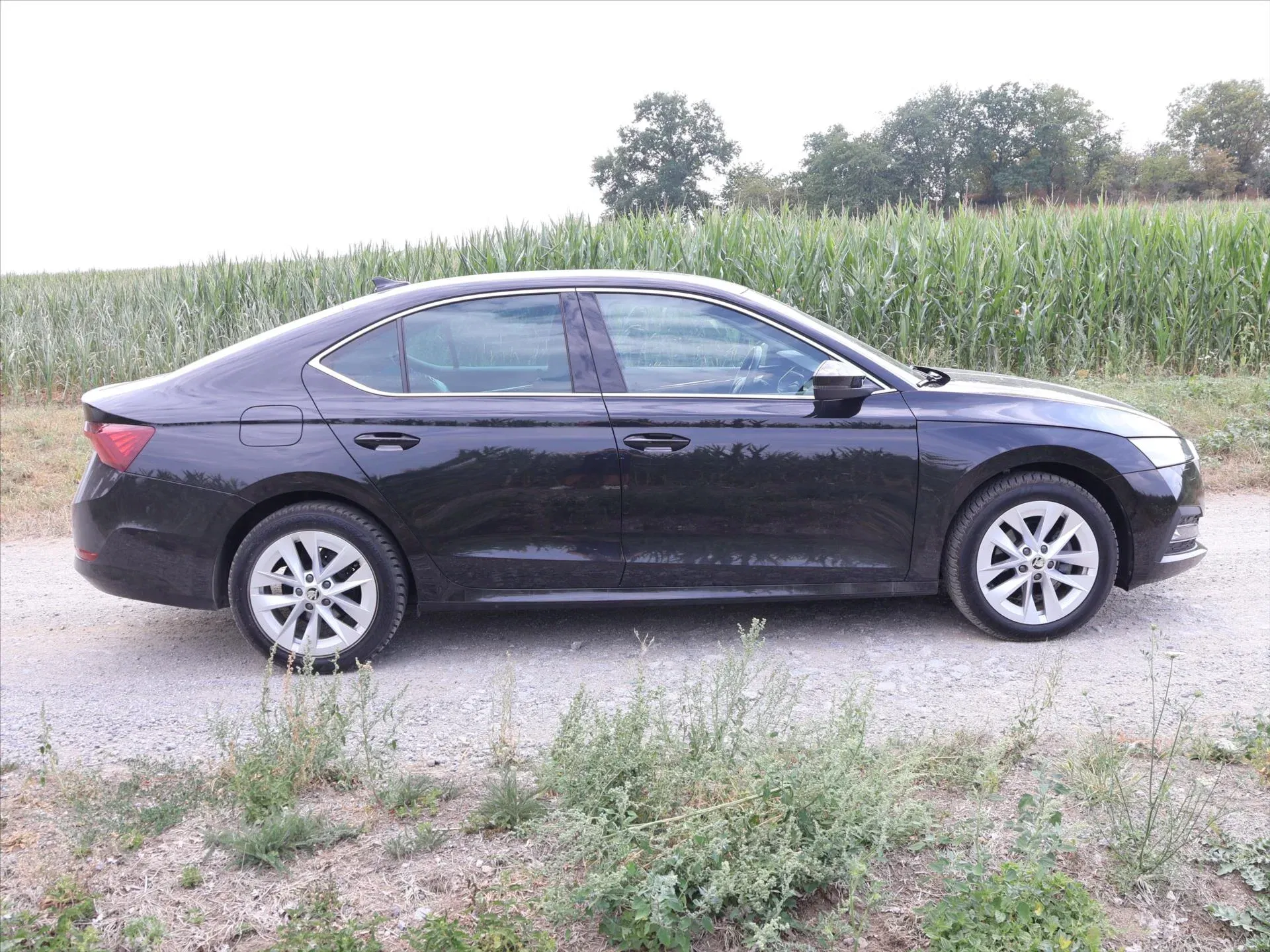 Škoda Octavia - Náhled 8