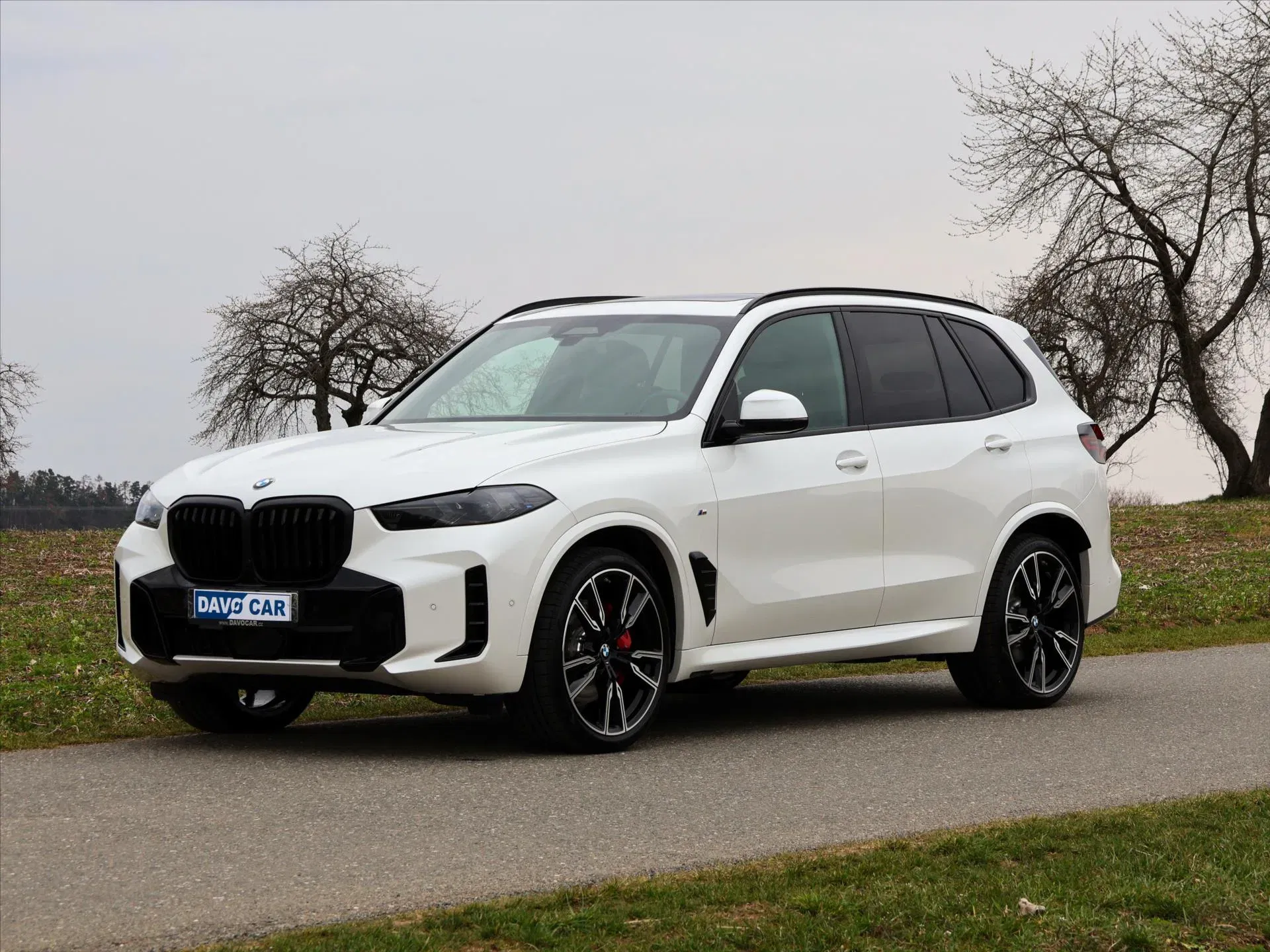 BMW X5 - Náhled 2