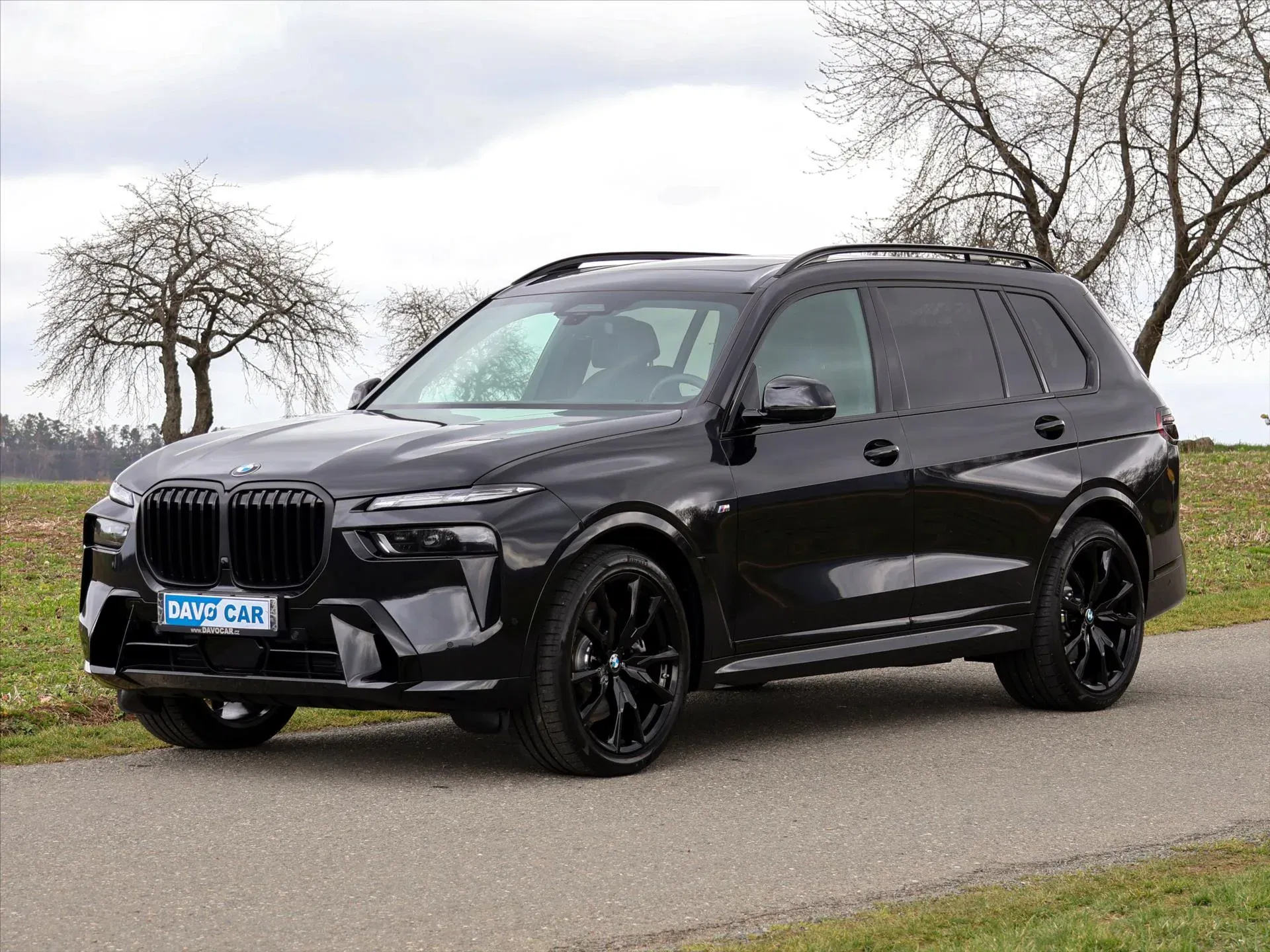 BMW X7 - Náhled 3
