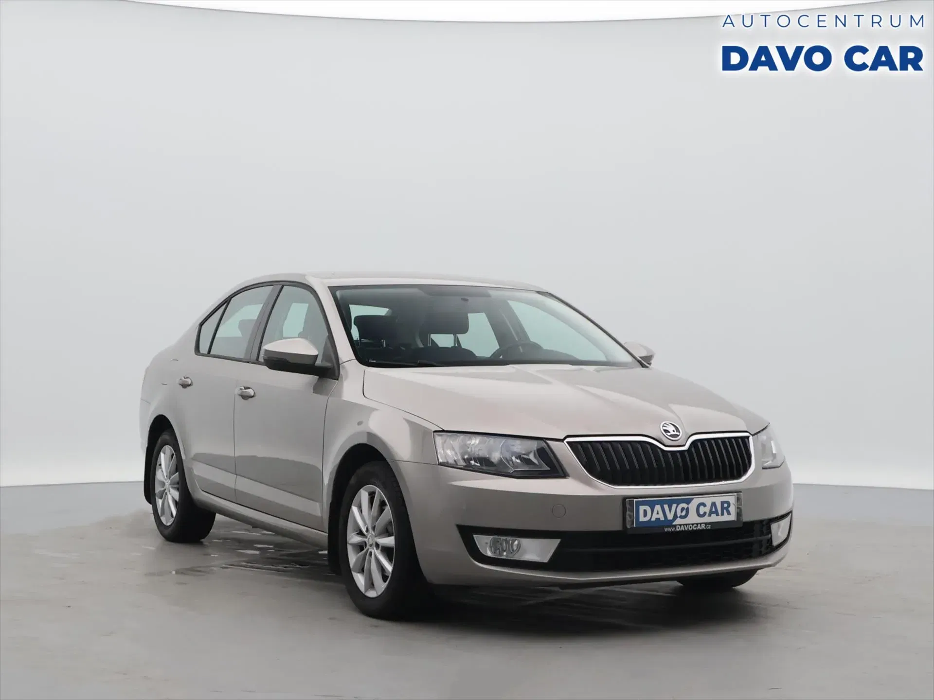 Škoda Octavia - Obrázek 1