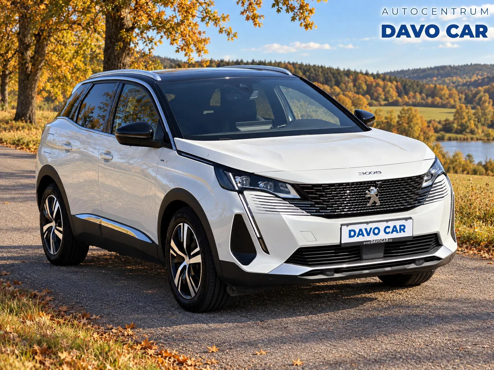 Peugeot 3008 - Obrázek 1