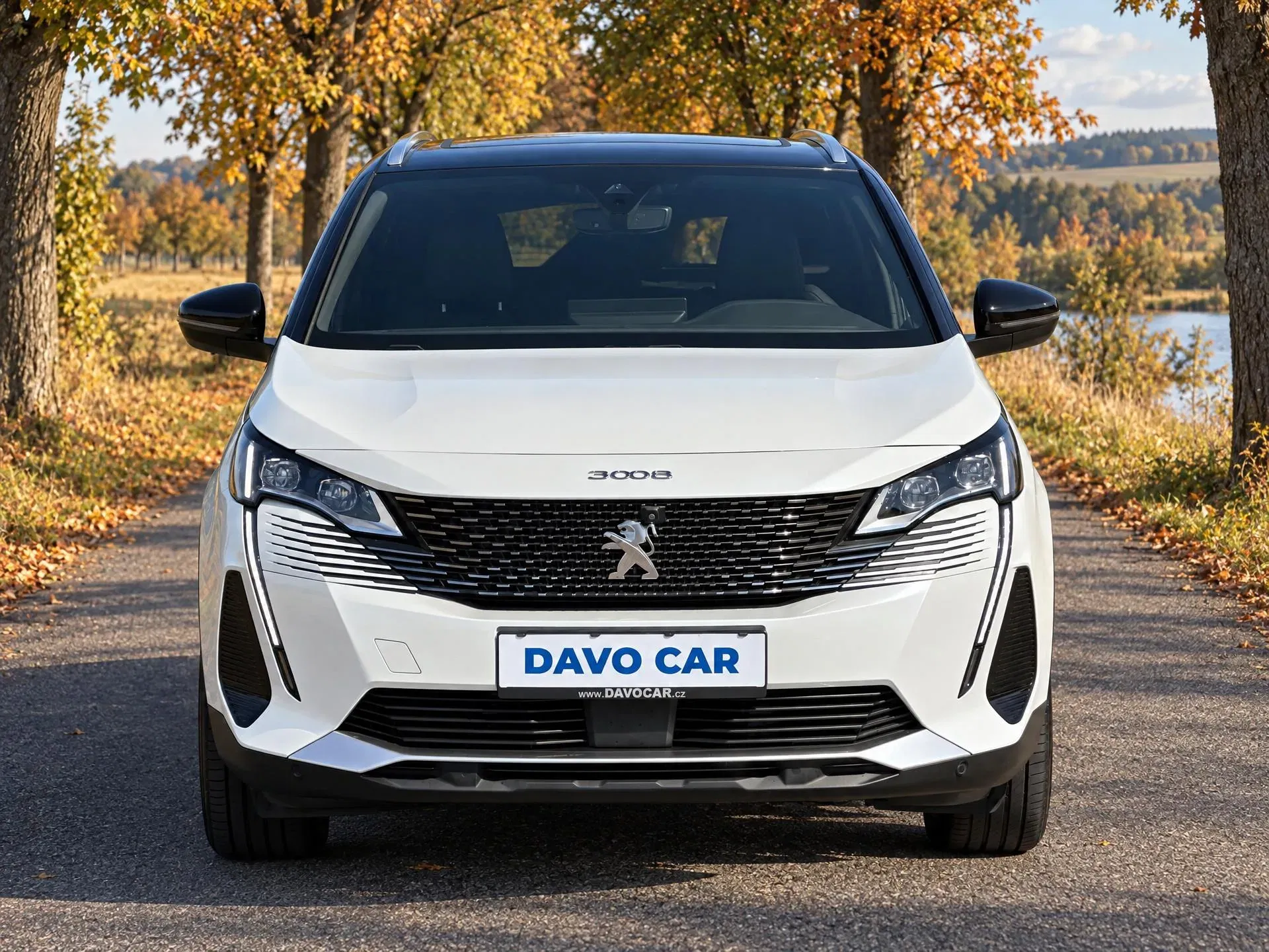 Peugeot 3008 - Náhled 2