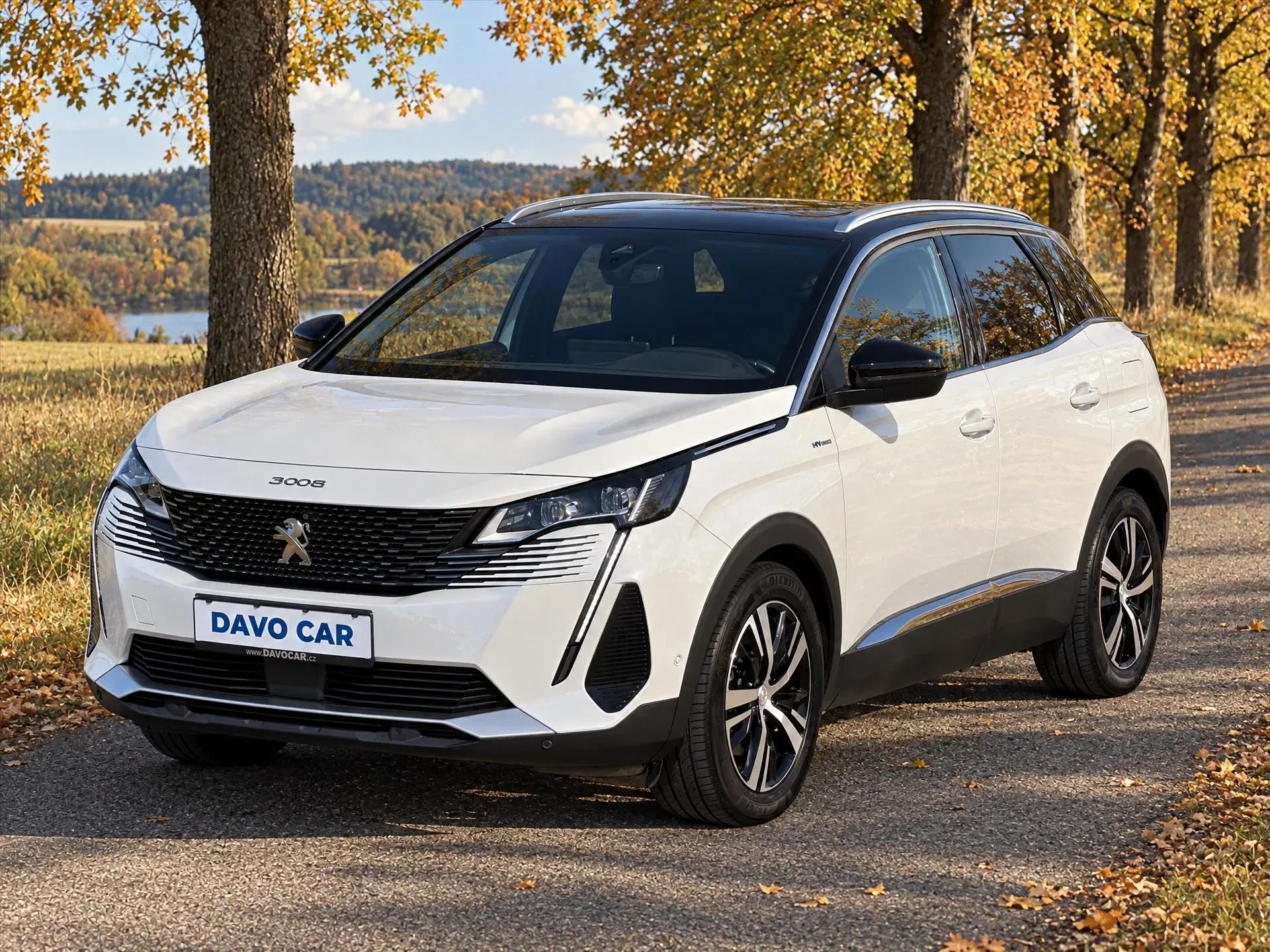 Peugeot 3008 - Náhled 3