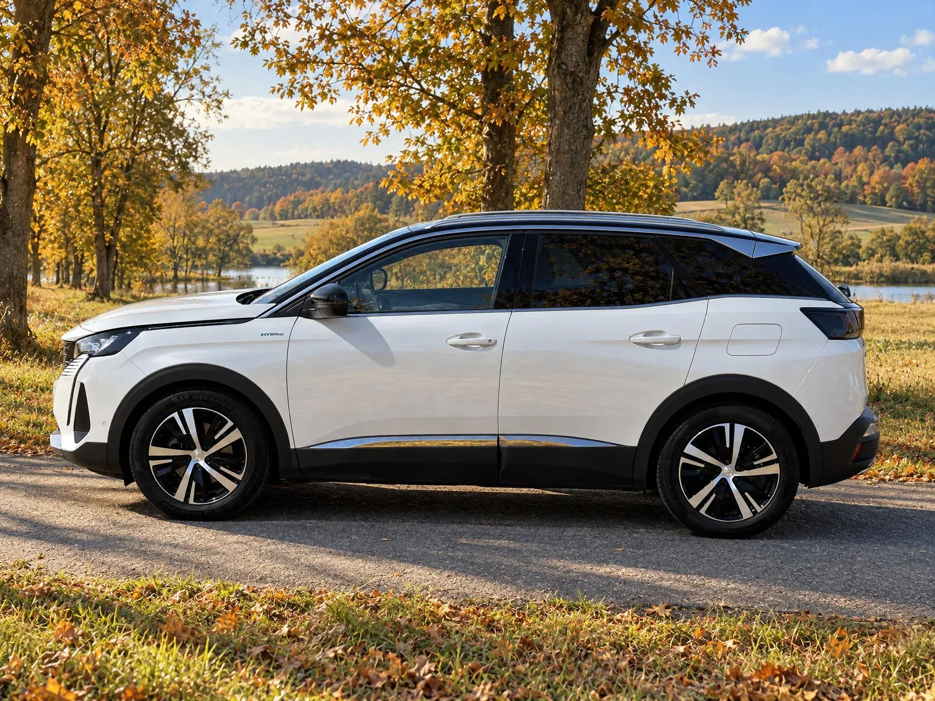 Peugeot 3008 - Náhled 4