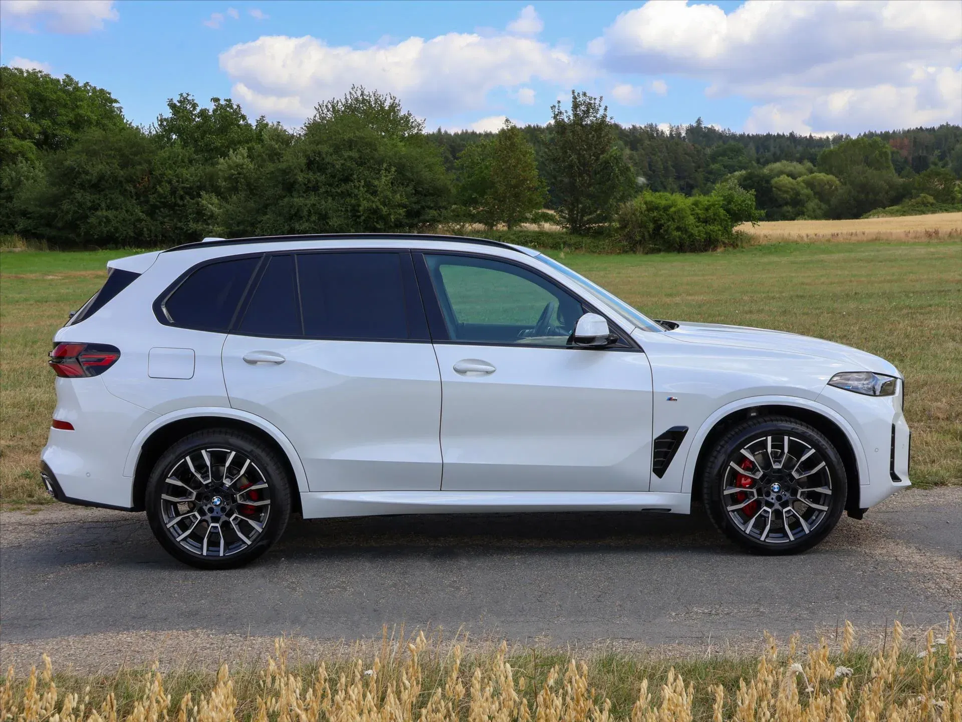 BMW X5 - Náhled 8