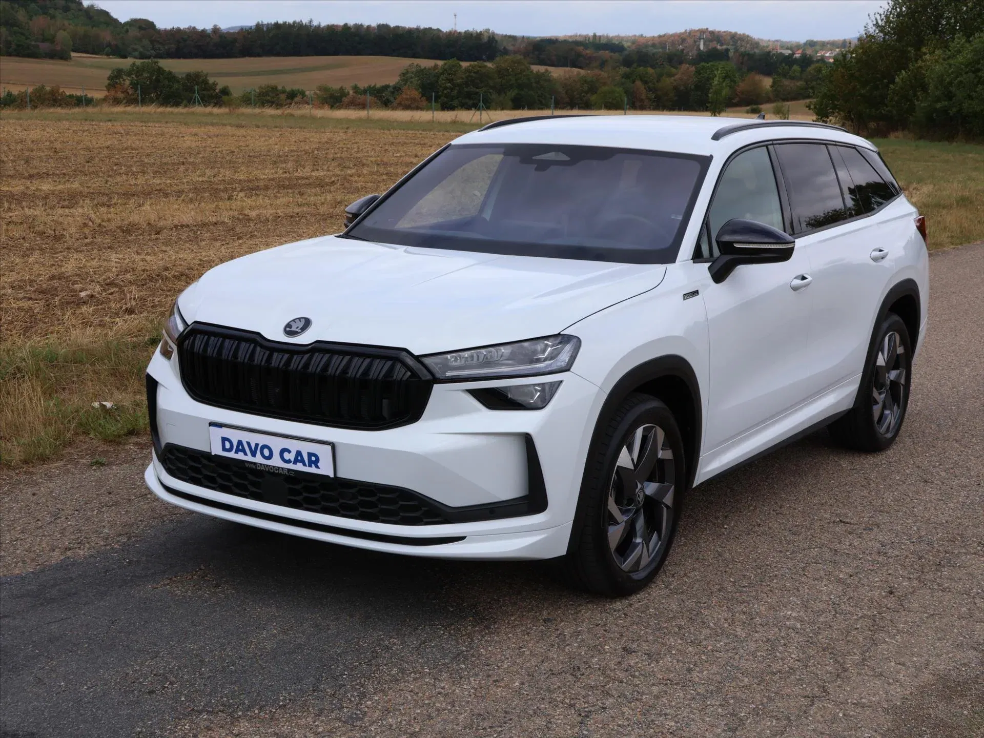 Škoda Kodiaq - Náhled 3