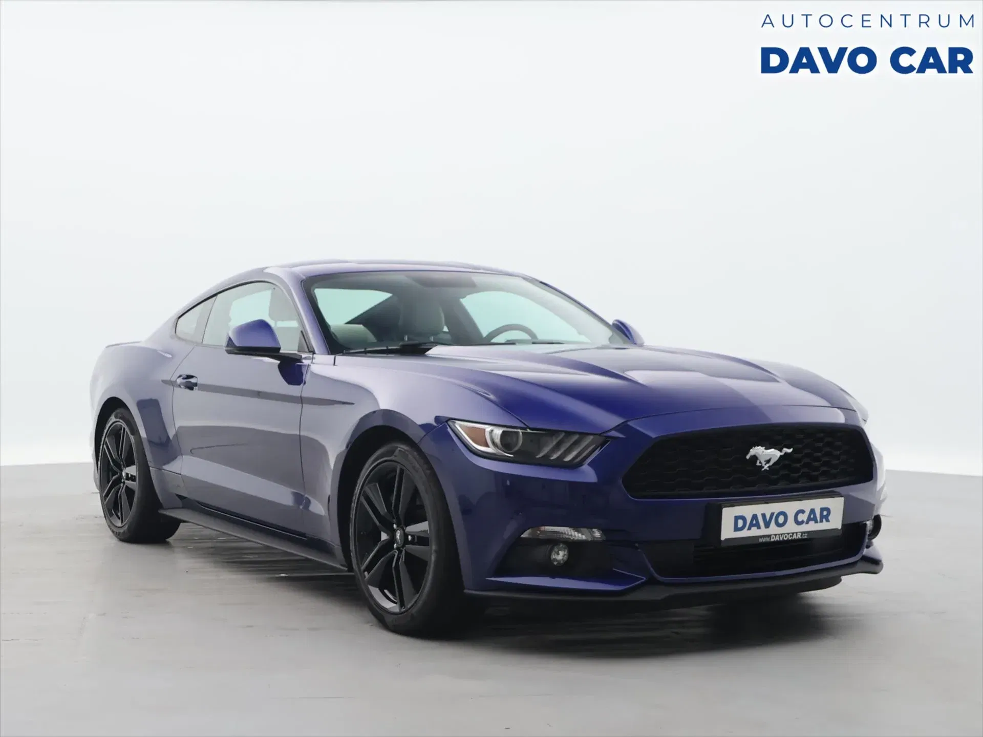 Ford Mustang - Obrázek 1