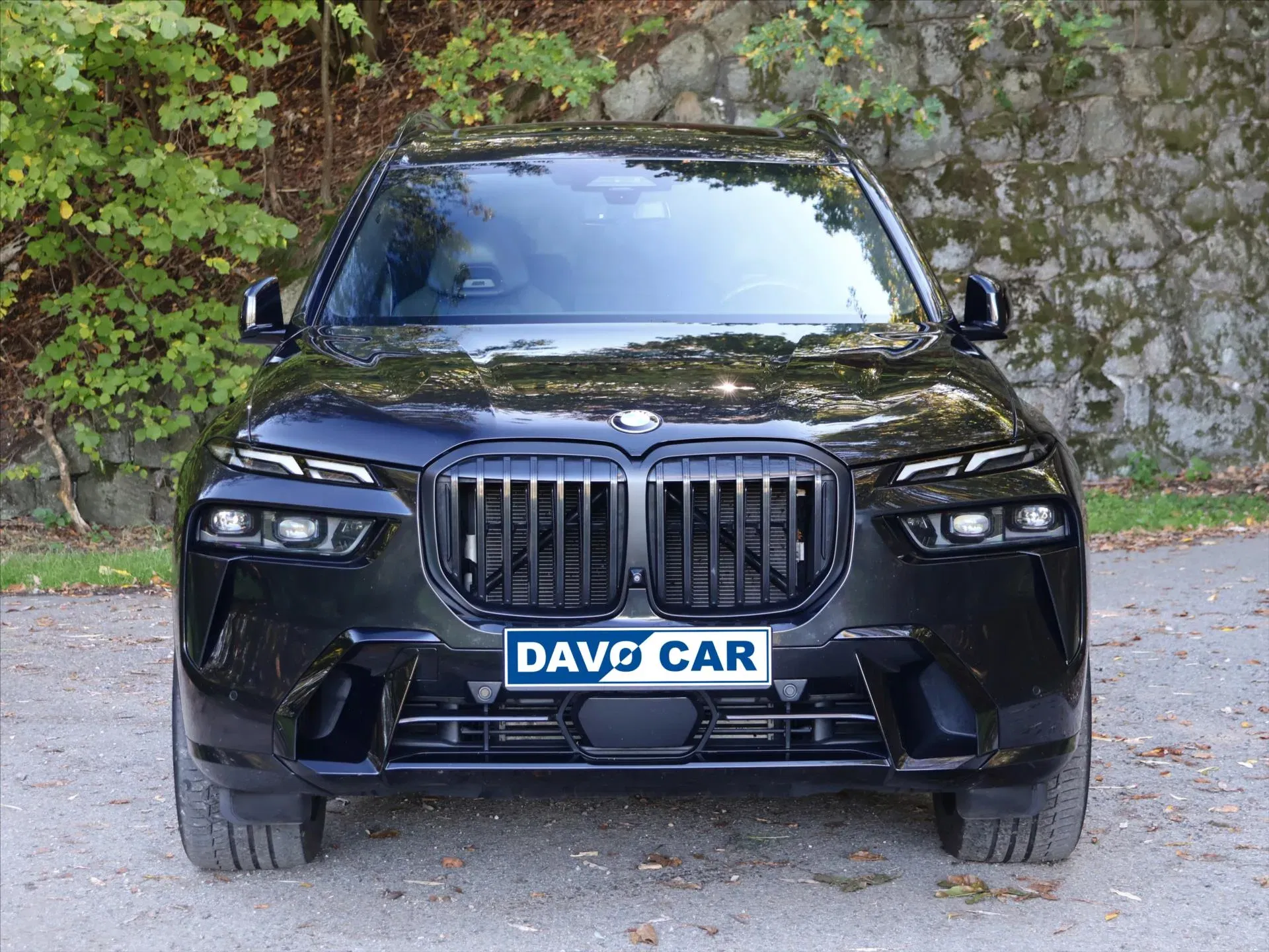 BMW X7 - Náhled 2