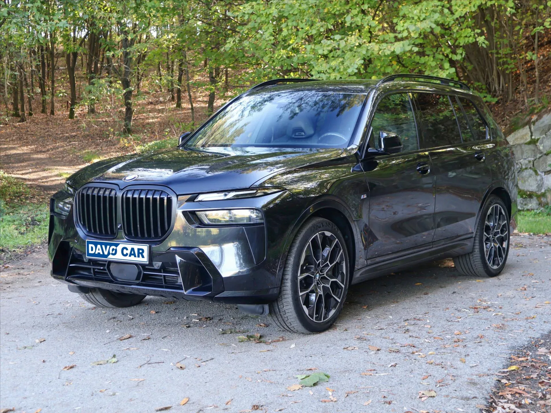 BMW X7 - Náhled 3