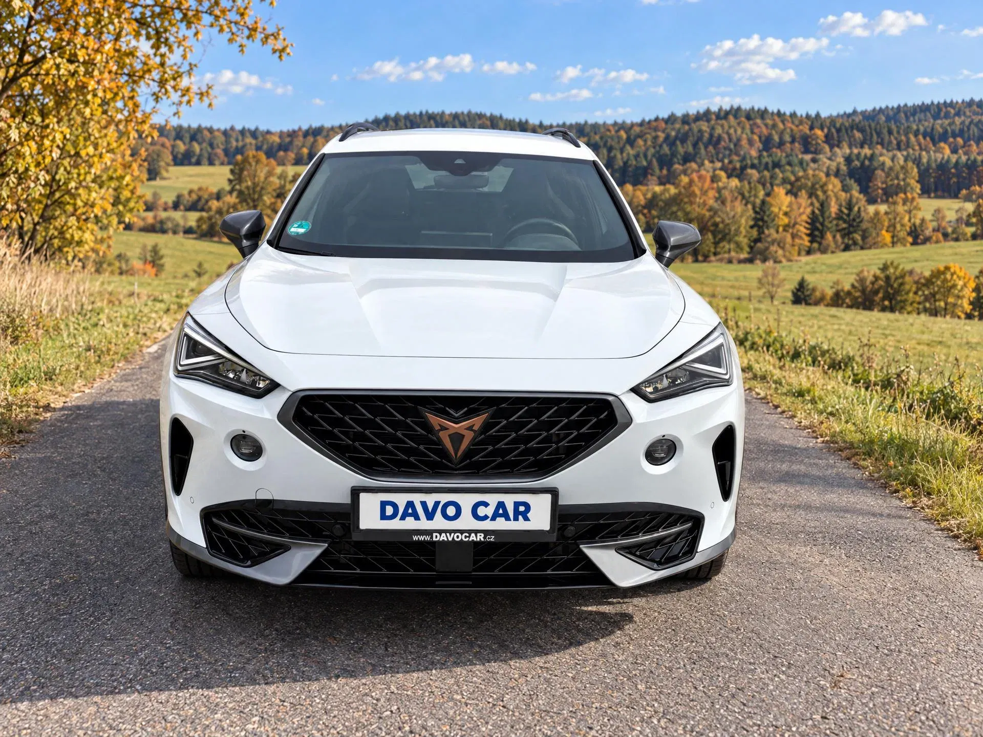 Cupra Formentor - Náhled 2