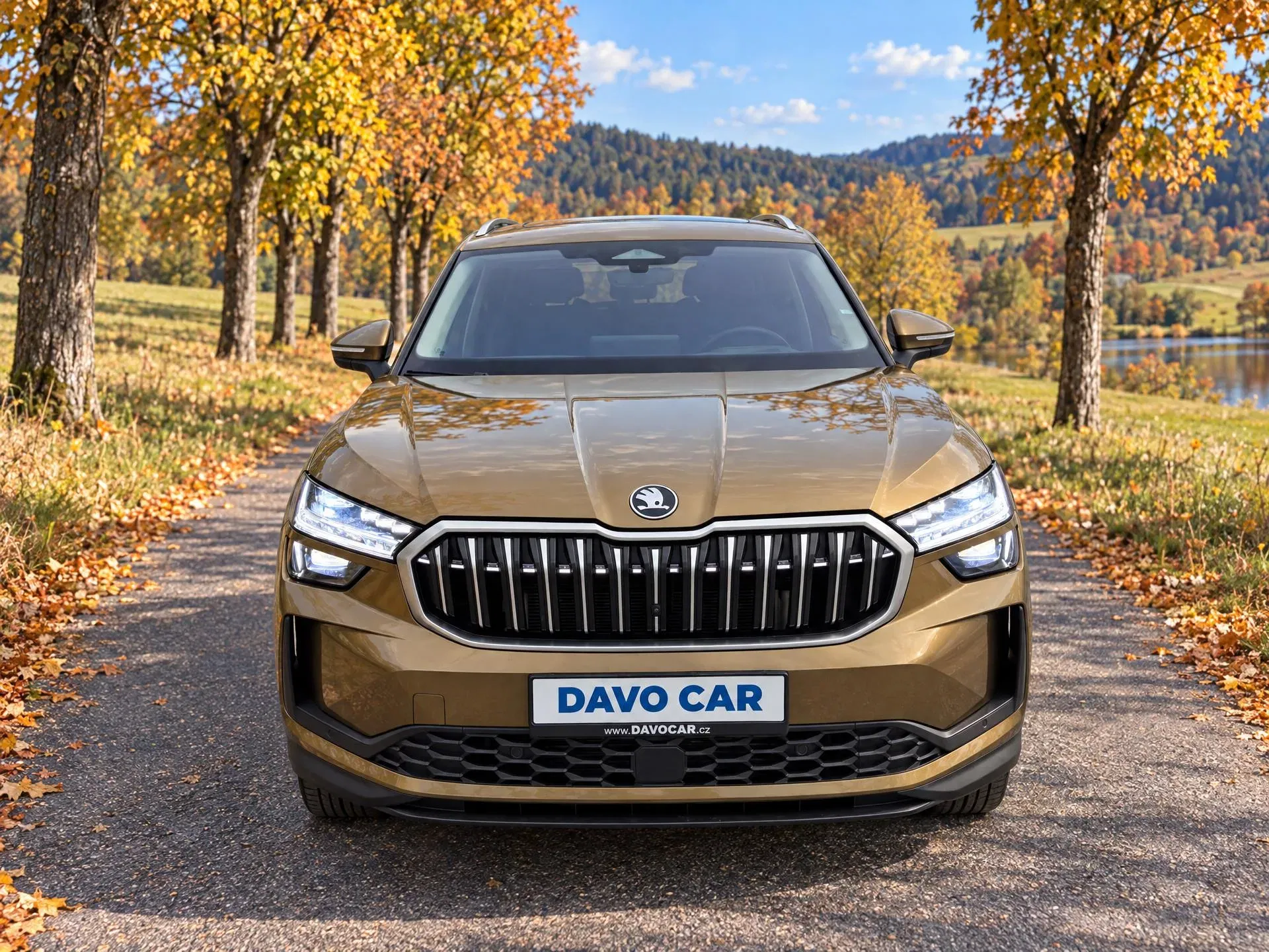 Škoda Kodiaq - Náhled 2