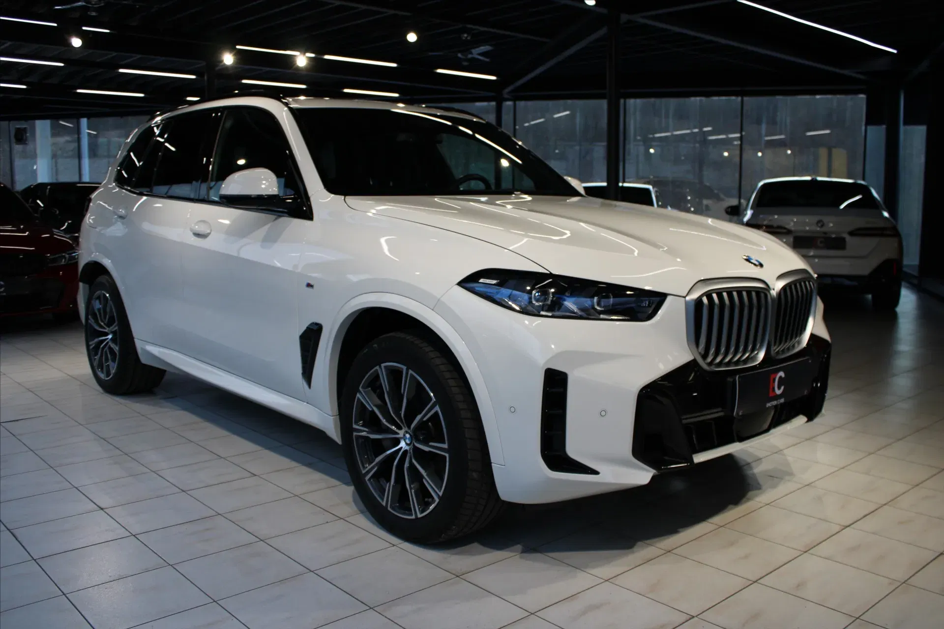 BMW X5 - Obrázek 1