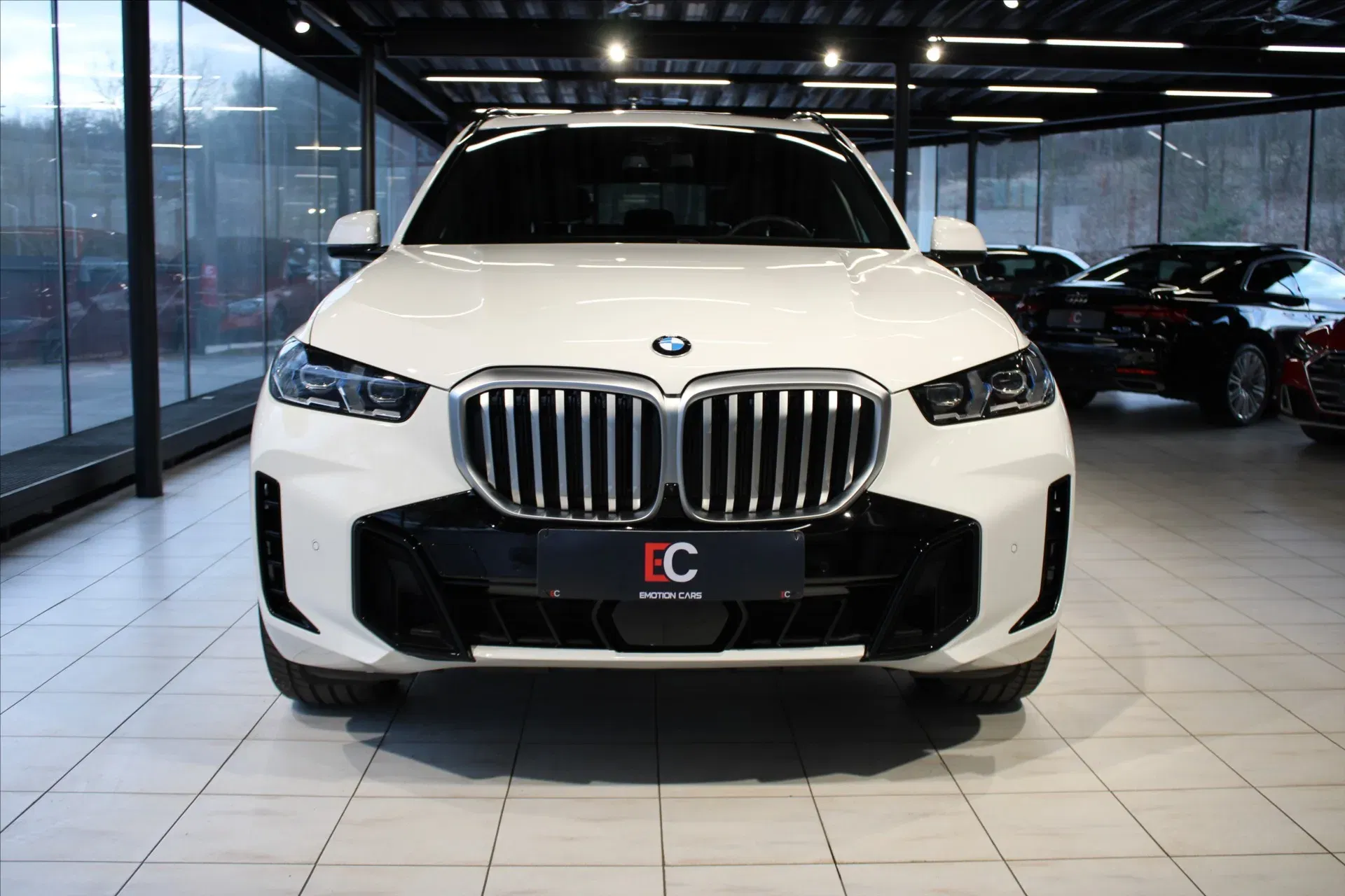 BMW X5 - Náhled 2