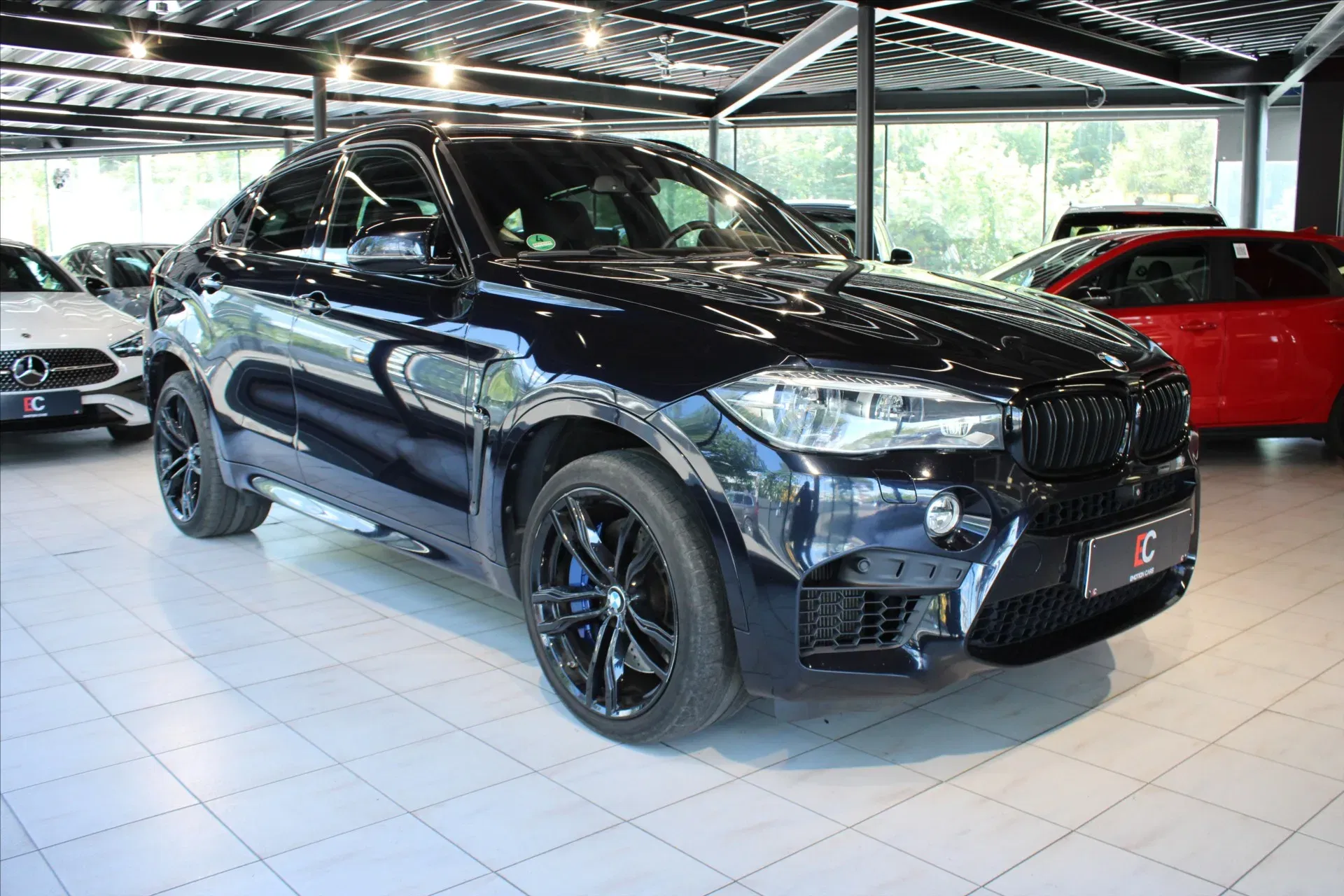 BMW X6 - Obrázek 1