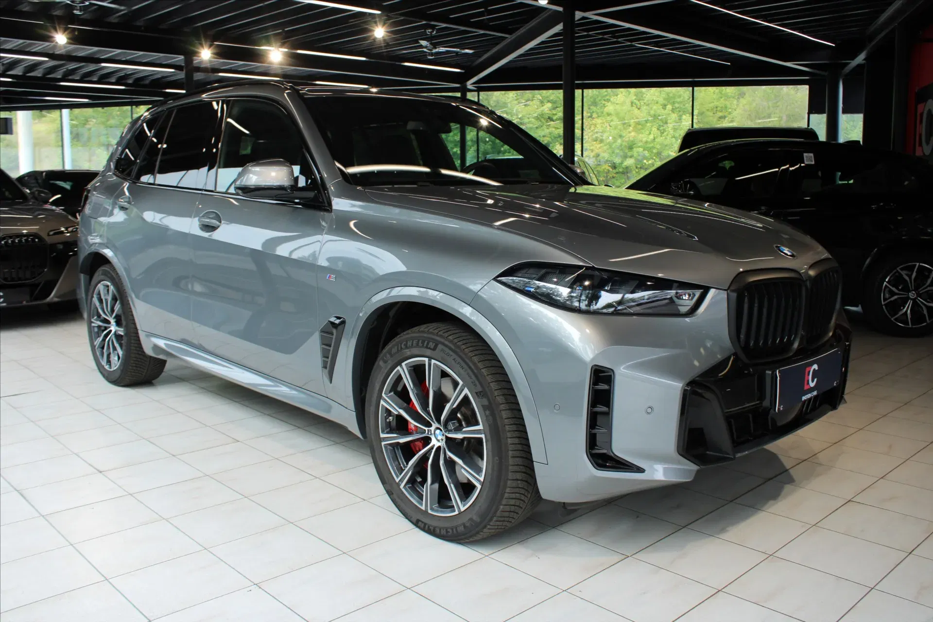 BMW X5 - Obrázek 1