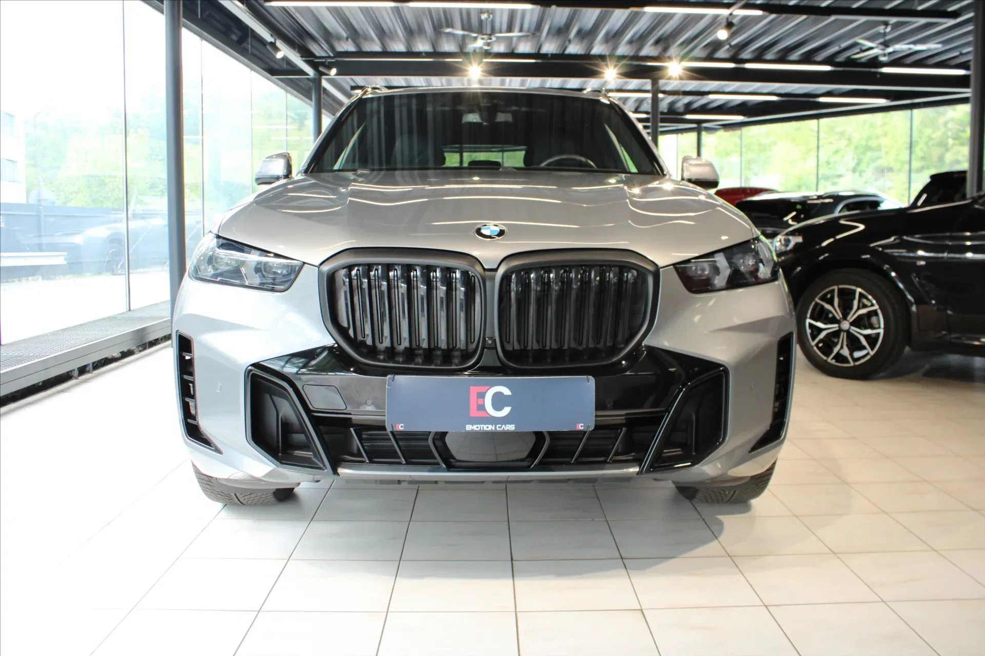 BMW X5 - Náhled 2