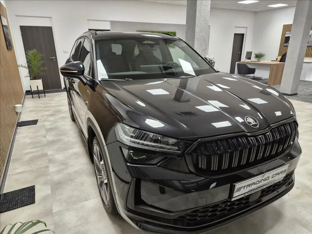 Škoda Kodiaq - Obrázek 1