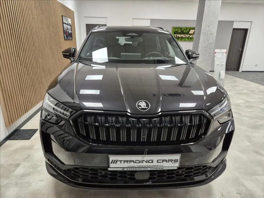 Škoda Kodiaq - Náhled 2