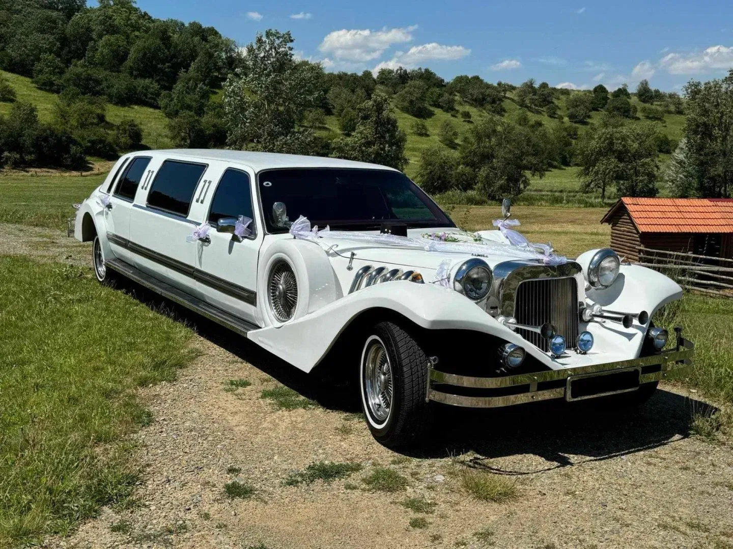 Lincoln Town Car 5.0 MOTOR MUSTANG, 1991