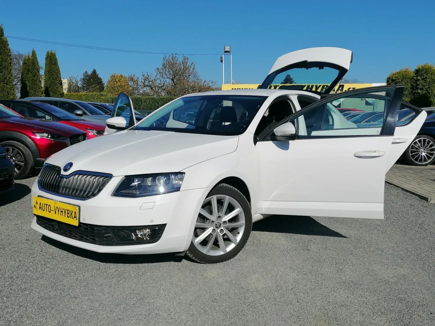Škoda Octavia - Obrázek 1