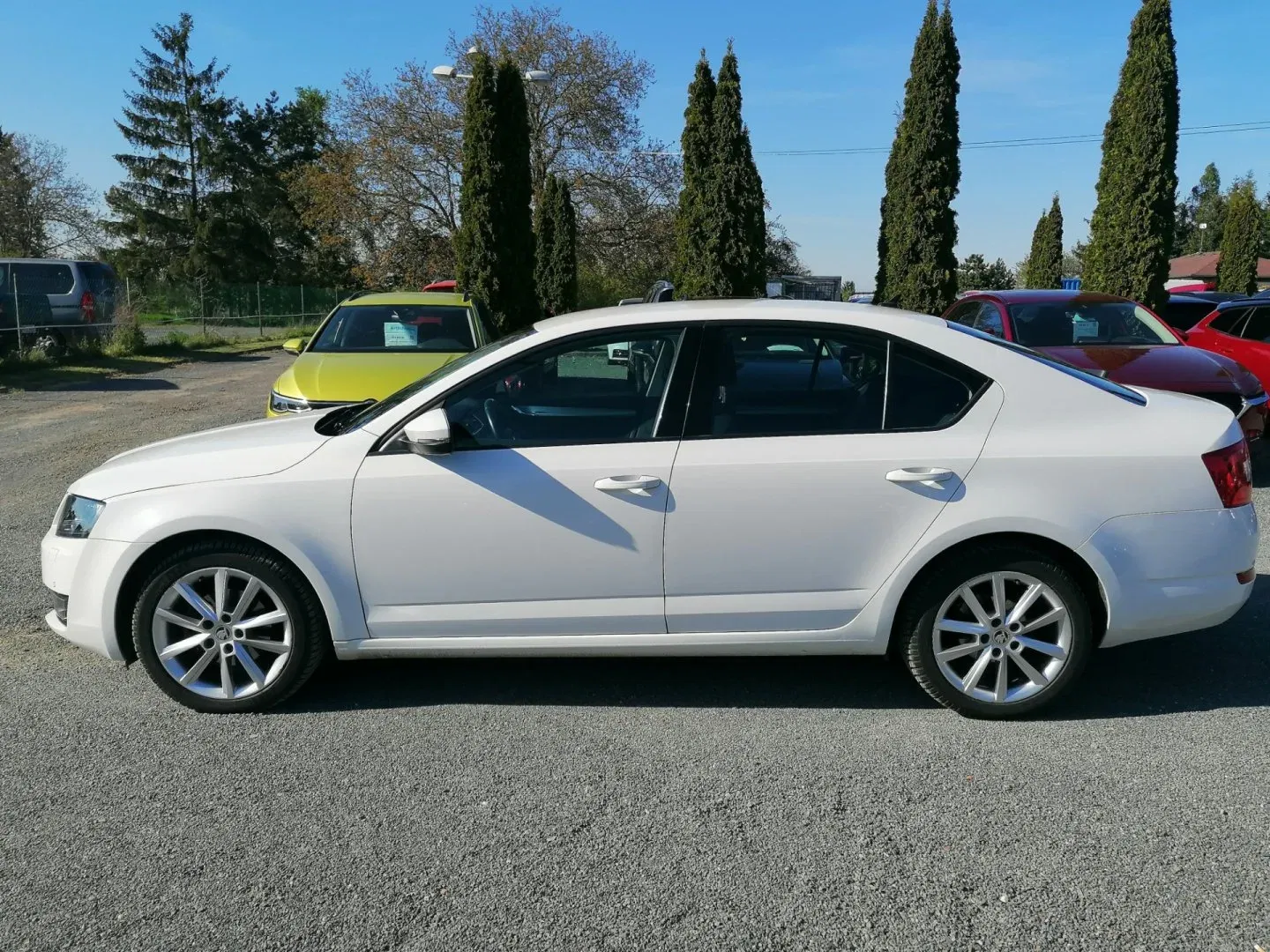 Škoda Octavia - Náhled 6